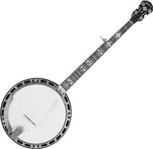 a banjo